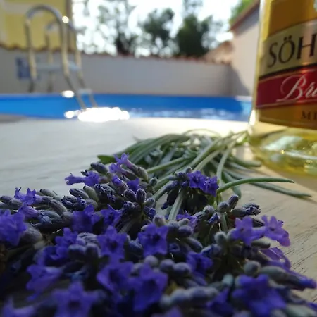 Contemporary In With Swimming Pool Nyaraló *