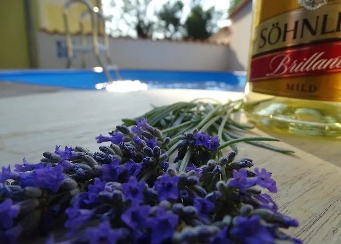Contemporary In With Swimming Pool Nyaraló *